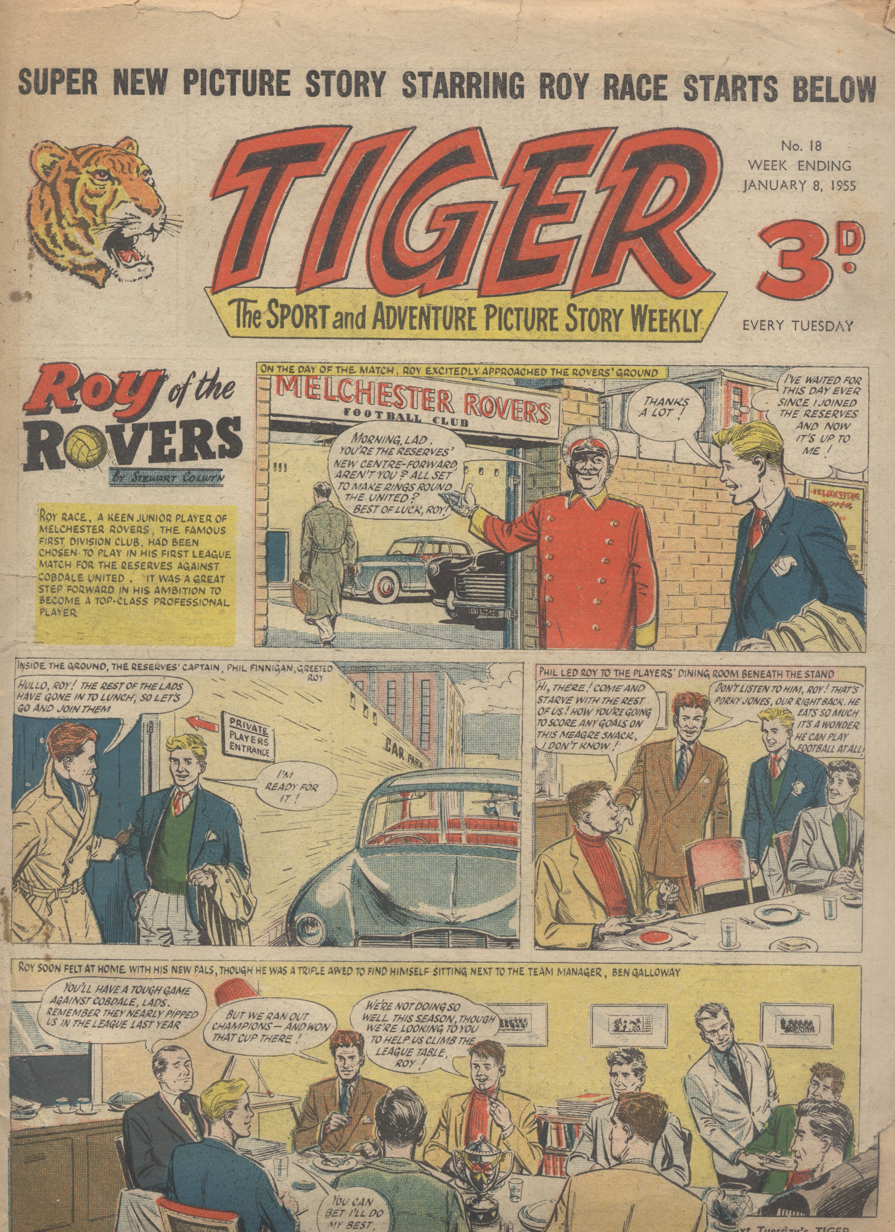 Tiger